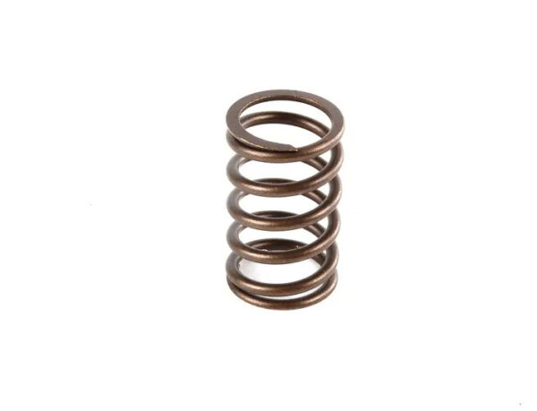 038109633 - NEW AUDI A3 SPORTBACK 8P ENGINE INNER VALVE SPRING 038109633 ORIGINAL