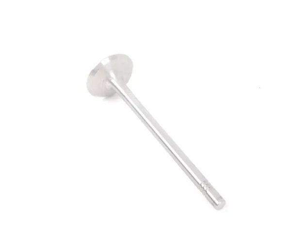059109601G - NEW AUDI A4 AVANT B8 ENGINE INTAKE VALVE 059109601G ORIGINAL