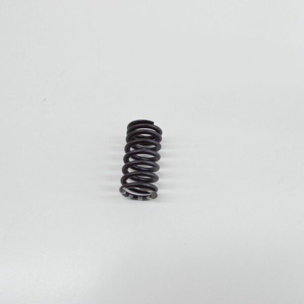 06E109623H - New Audi VW AUDI VALVE SPRING INLET 06E109623H