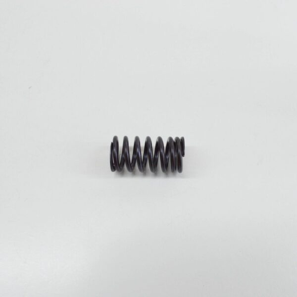 06E109623H - New Audi VW AUDI VALVE SPRING INLET 06E109623H