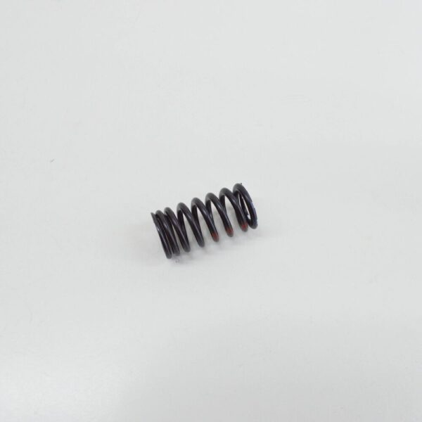06E109623H - New Audi VW AUDI VALVE SPRING INLET 06E109623H