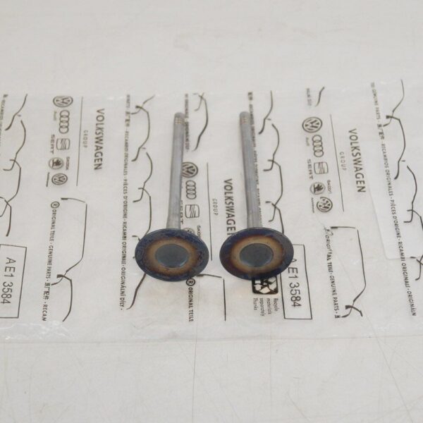 06L109601 - Audi A3 8V Intake Valves 06L109601 NEW OEM