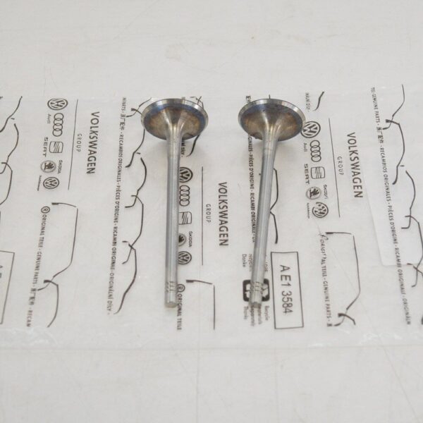 06L109601 - Audi A3 8V Intake Valves 06L109601 NEW OEM