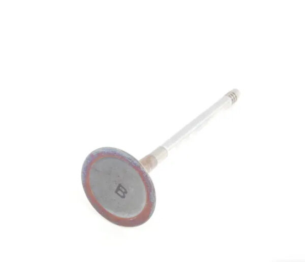 079109601B - NEW AUDI A4 B7 ENGINE INTAKE VALVE 079109601B ORIGINAL