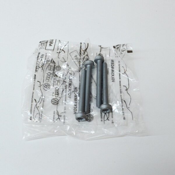 N91028002 - Audi A8 4H Inner Hex Waistband Screw Set 4pcs N91028002 NEW ORIGINAL
