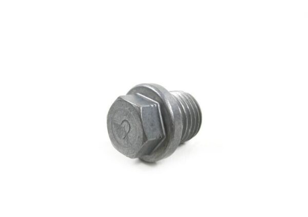 07119904539 - BMW E81 Original Screw Cap 07119904539