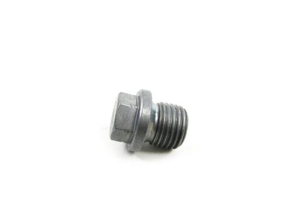 07119904539 - BMW E81 Original Screw Cap 07119904539