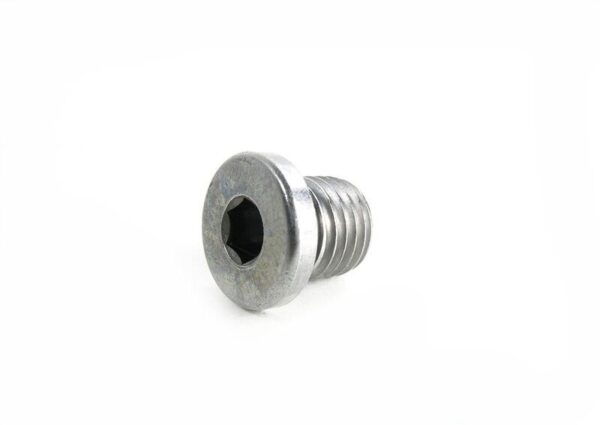 07119904550 - BMW E46 Original Screw Cap 07119904550