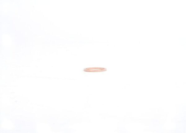 07119963201 - BMW E21 Original Seal Ring 07119963201