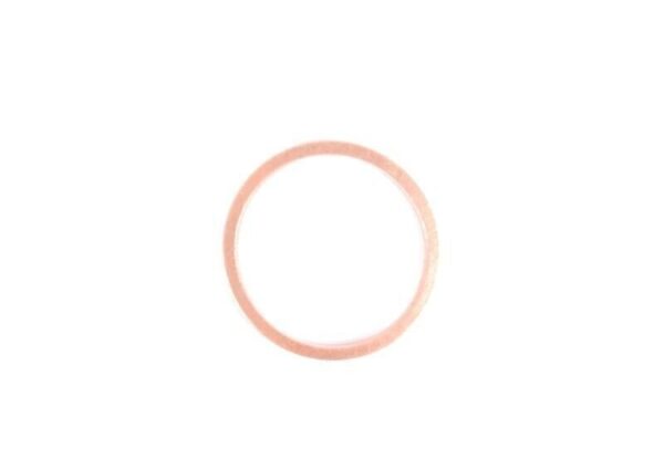 07119963418 - BMW gasket ring a26x31 original 07119963418