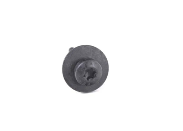 07146975296 - BMW X6 E71 oval head screw with twist protection 6975296 07146975296 NEW