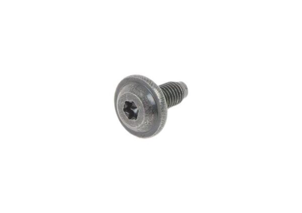 07147124309 - BMW E81 Screw Torx with Original Necklace 07147124309