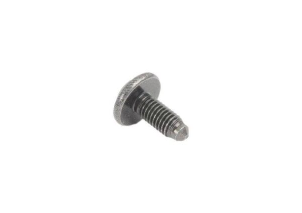 07147124309 - BMW E81 Screw Torx with Original Necklace 07147124309