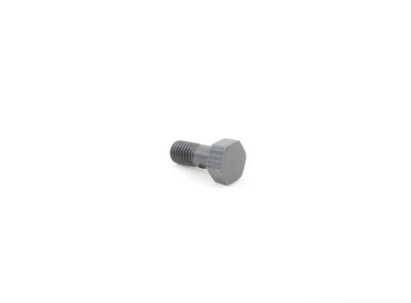 11127523715 - NEW BMW HOLLOW BOLT M7X16 FOR OIL SPRAY PIPE ON CYLINDER HEAD 11127523715 ORIGINAL