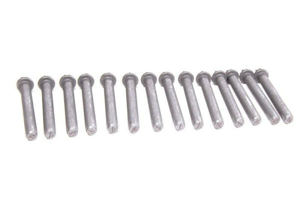 11127831862 - Genuine Europe BMW E46 M3 Convertible Cylinder Head Bolt Set 11127831862