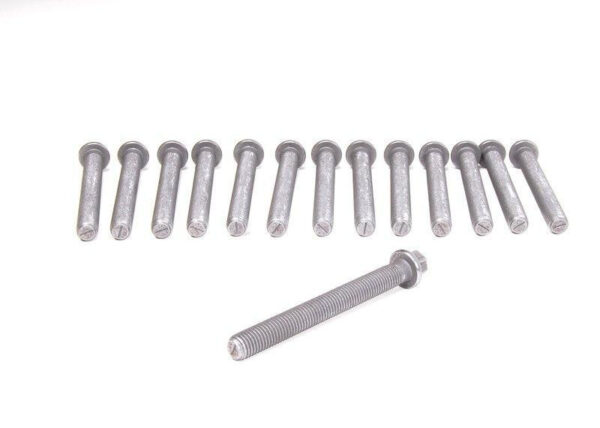 11127831862 - Genuine Europe BMW E46 M3 Convertible Cylinder Head Bolt Set 11127831862