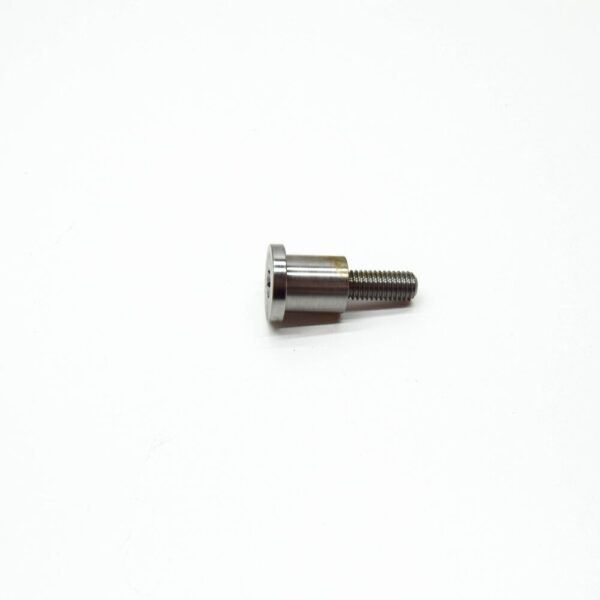 11317533488 - BMW E53 E60 E60N E61 E63 Timing Chain Guide Rail Bolt 7533488 11317533488