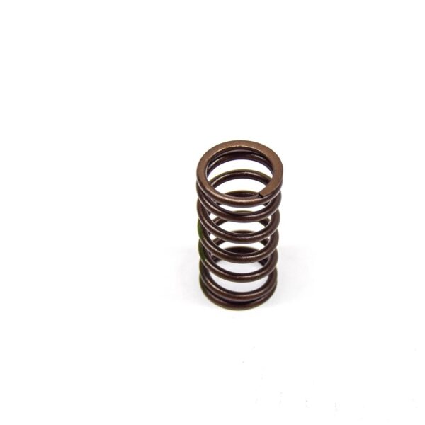 11341726473 - NEW BMW 5 E34 ENGINE VALVE SPRING 11341726473 1726473 ORIGINAL