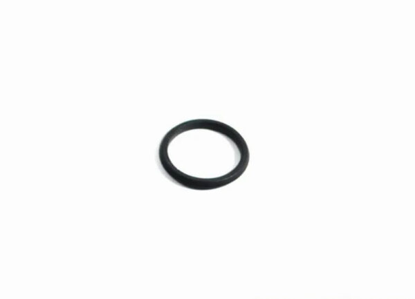 11367830829 - NEW BMW Z8 ROADSTER E52 VANOS MAGNET O-RING 11367830829 7830829 GENUINE