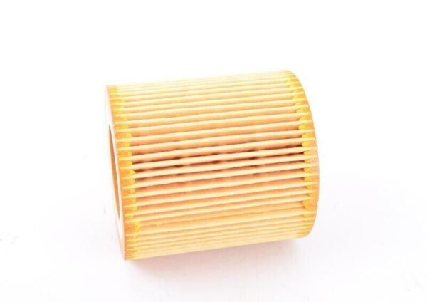 11427953129 - Genuine BMW E60 Oil Filter  11427953129
