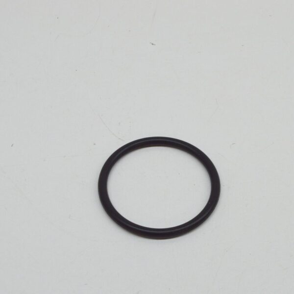 11511714519 - NEW BMW 3 E46 ENGINE WATER PUMP O-RING 1714519 11511714519 ORIGINAL