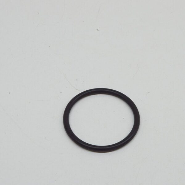 11511714519 - NEW BMW 3 E46 ENGINE WATER PUMP O-RING 1714519 11511714519 ORIGINAL