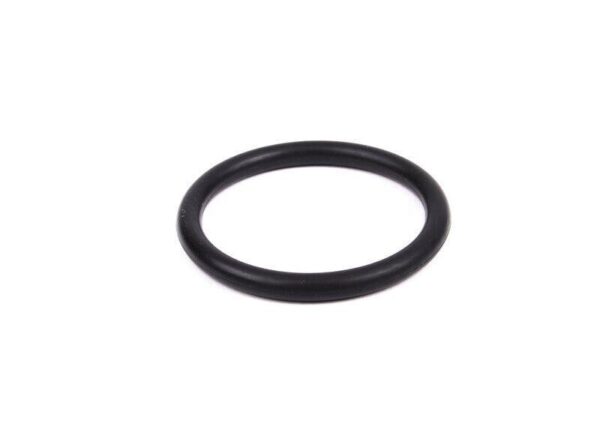 11531710048 - BMW O-Ring Original Water Tube or Water Pump 11531710048