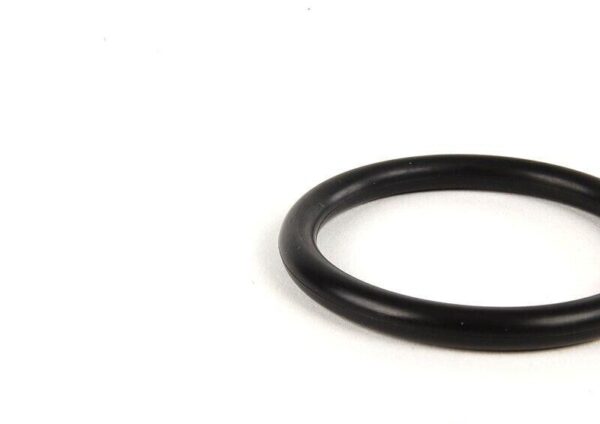 11531710048 - BMW O-Ring Original Water Tube or Water Pump 11531710048