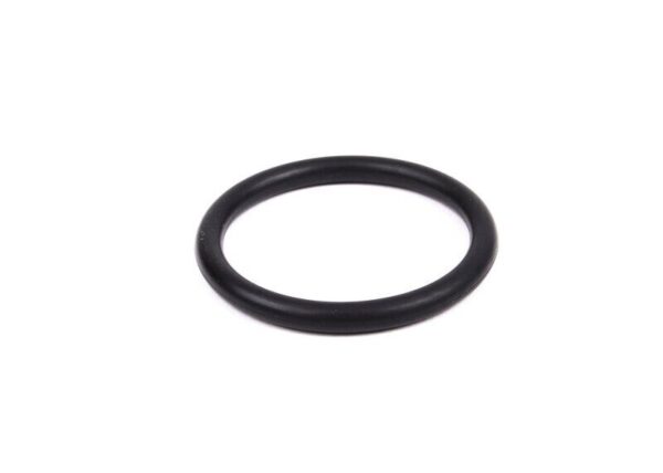 11531710048 - BMW O-Ring Original Water Tube or Water Pump 11531710048