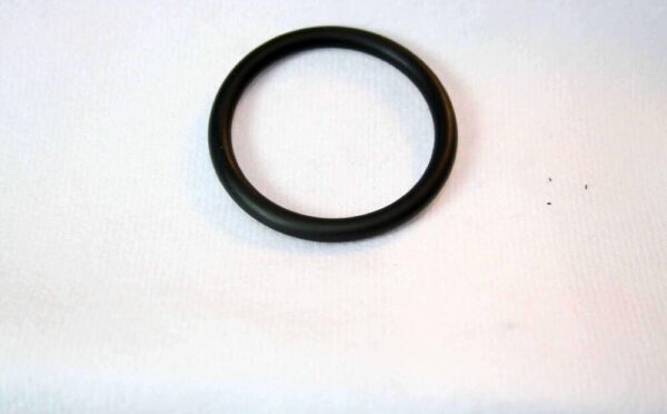 11531710048 - BMW O-Ring Original Water Tube or Water Pump 11531710048