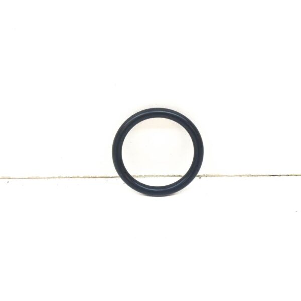 11618583456 - MINI COUNTRYMAN R60 ENGINE INTAKE MANIFOLD O-RING 11618583456 NEW GENUINE