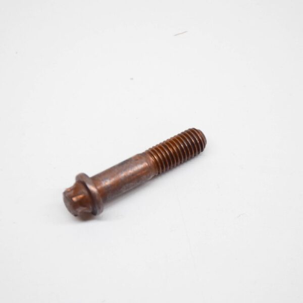 11621318568 - NEW BMW M3 E90 TORX BOLT 11621318568 1318568 ORIGINAL