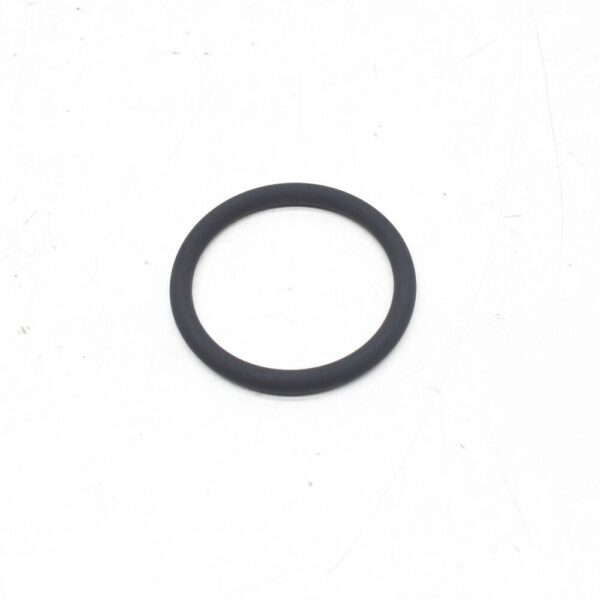 11657795046 - BMW 5 E60 intake manifold O-ring 11657795046 NEW ORIGINAL