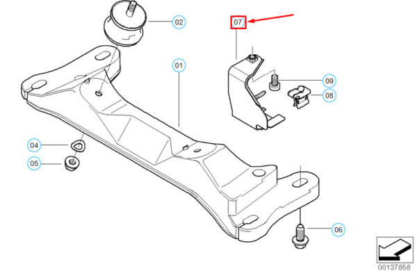 11787516974 - BMW 3 E46 HOOF PROBE CABLE MOUNT 11787516974 7516974 NEW REAL