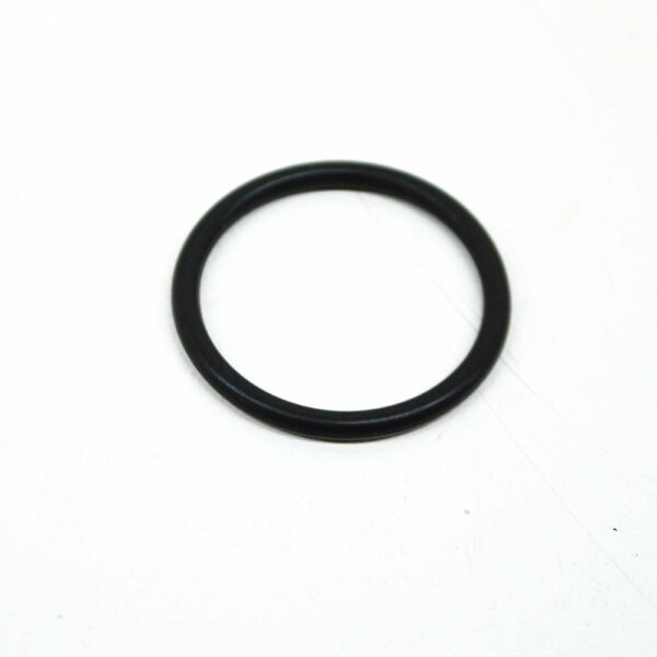 13417834429 - BMW M5 E60 FUEL INJECTION IN IDLE AIR CONTROL O-RING 13417834429
