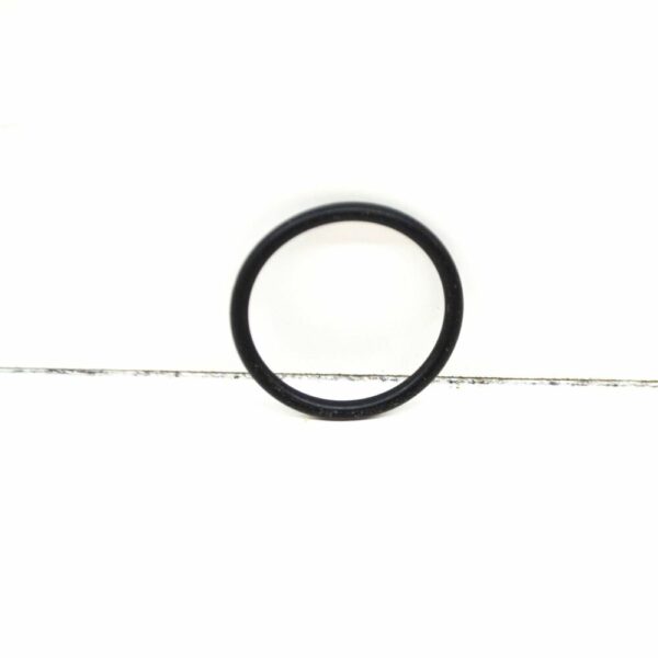 13417834429 - BMW M5 E60 FUEL INJECTION IN IDLE AIR CONTROL O-RING 13417834429