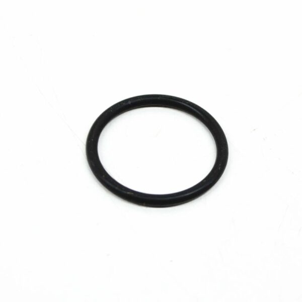 13417834429 - BMW M5 E60 FUEL INJECTION IN IDLE AIR CONTROL O-RING 13417834429