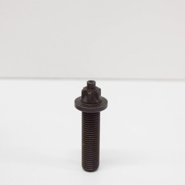 13527100470 - NEW BMW 3 E46 TORX BOLT 13527100470 ORIGINAL