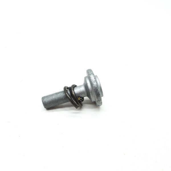 33406858534 - MINI COOPER F55 axle screw with spring 334068534 68534 NEW ORIGINAL