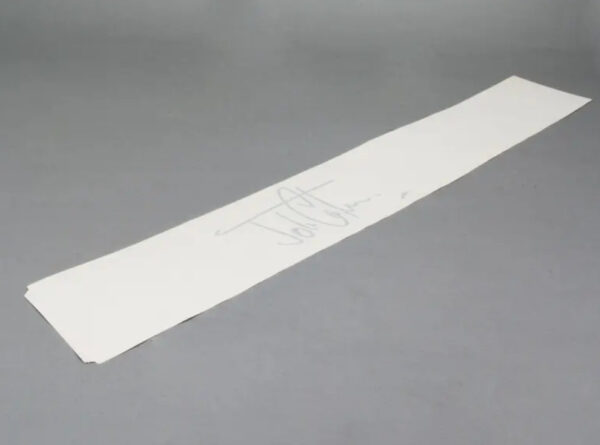 51147267894 - NEW MINI COOPER S R56 JCW FRONT RIGHT BONNET STRIPES 7267894 51147267894