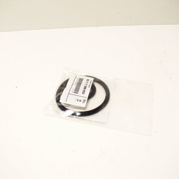 63117268653 - BMW 5 F10 Headlight Seal Turn Signal and Side Light Insert 63117268653 OEM