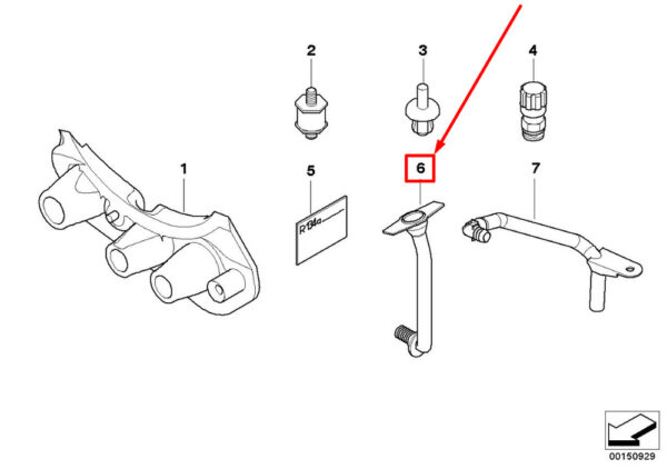 64116904642 - BMW X5 E53 condensate drain hose right 64116904642 6904642 NEW ORIGINAL
