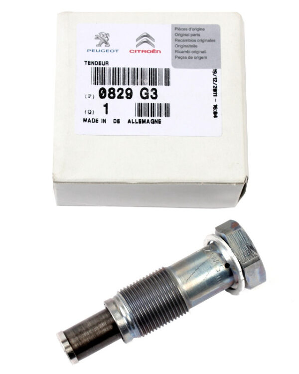 9824831480 - Citroen C4 Picasso MK2 Timing Chain Bolt 9824831480 New
