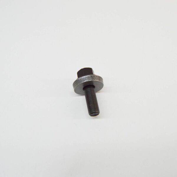 1149131 - NEW FORD MONDEO MK5 CRANKSHAFT PULLEY SCREW 1149131 1S7G-6K340-BC