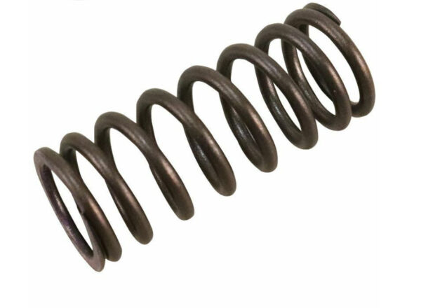 2191589 - NEW FORD ECOSPORT MK2 VALVE SPRING 2191589 CA6G-6513-BA ORIGINAL