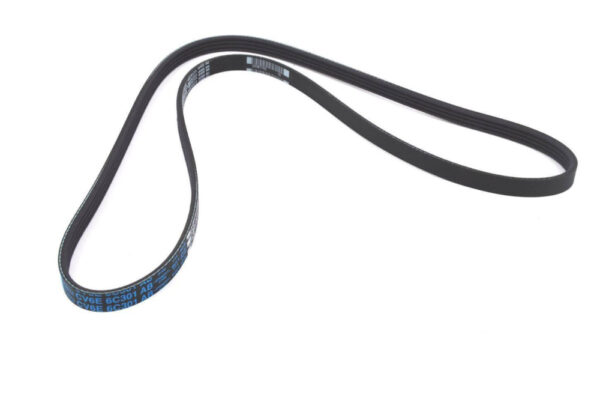 2441653 - FORD FOCUS MK3 C346 Driving Belt 2441653 CV6E-6C301-EA NEW GENUINE
