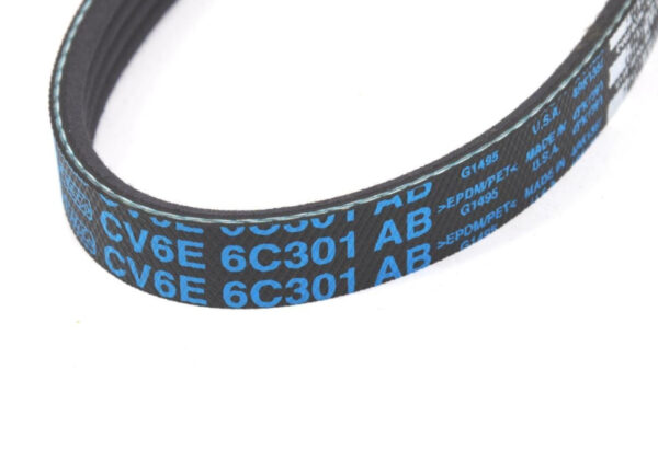 2441653 - FORD FOCUS MK3 C346 Driving Belt 2441653 CV6E-6C301-EA NEW GENUINE