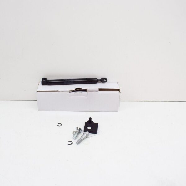 2486297 - FORD RANGER MK3 Heckklappendämpfer Lift Assy 2486297 NEU ORIGINAL