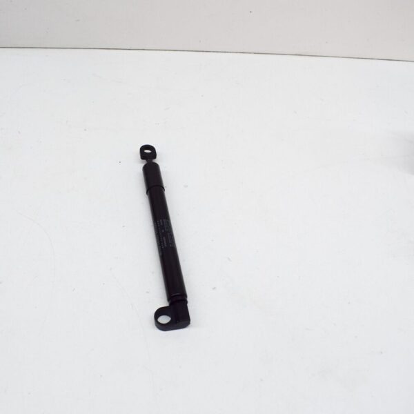 2486297 - FORD RANGER MK3 Heckklappendämpfer Lift Assy 2486297 NEU ORIGINAL