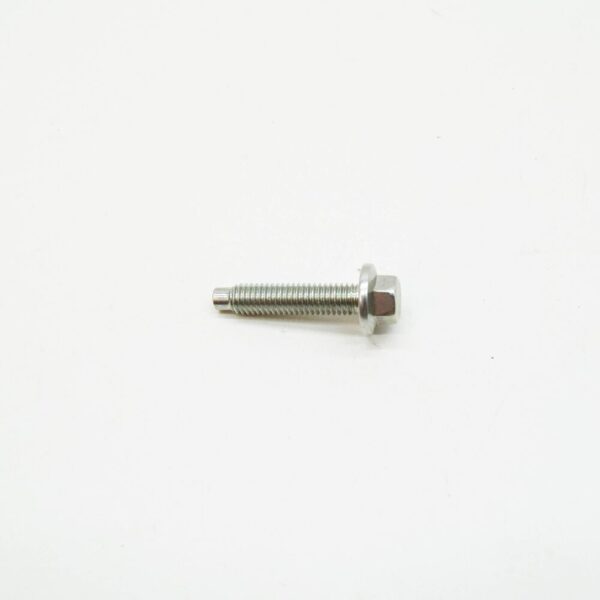 4147433 - LAND ROVER DISCOVERY L462 Oil Pump Screw 4147433 NEW